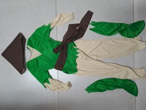 Kids Costumes to Hire - Robin Hood  - BOY  